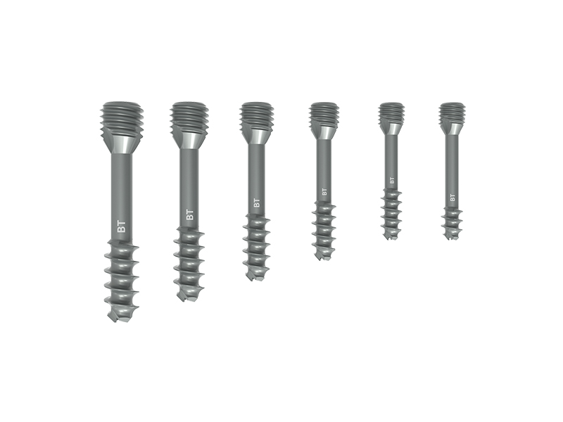 Cannulated Screw System