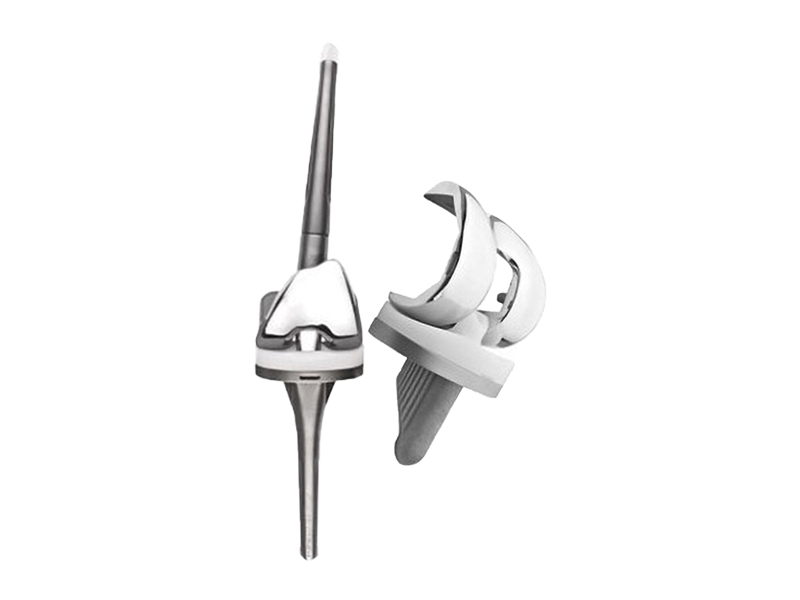 Knee Joint System
