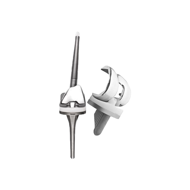 Knee Joint System