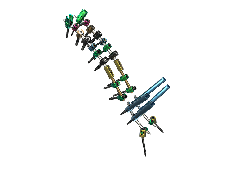 Posterior Spinal System