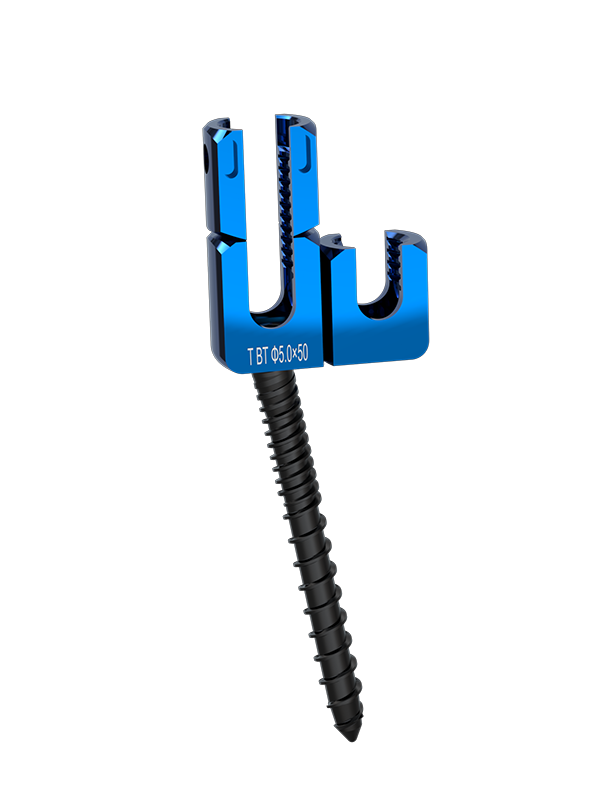 Double -head Screw System