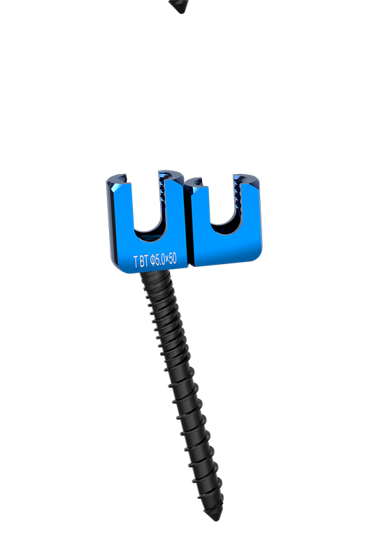Double -head Screw System