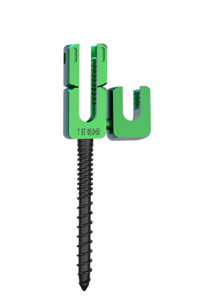 Double -head Screw System